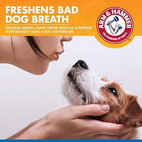 Arm & Hammer, Dog Dental Spray, Tartar Control, Mint, 4 Fl Oz, 2-Pack