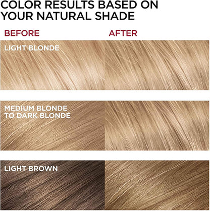 L'Oreal Superior Preference Hair Color 8 Medium Blonde (Pack of 3)