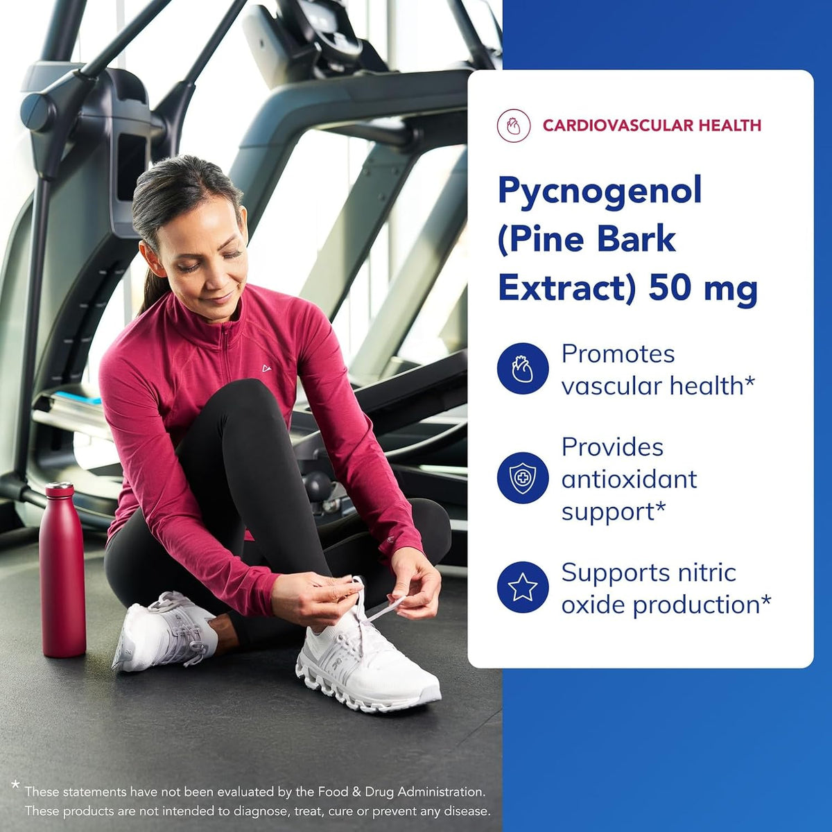 Pure Encapsulations Pycnogenol (Pine Bark Extract), 60 Capsules