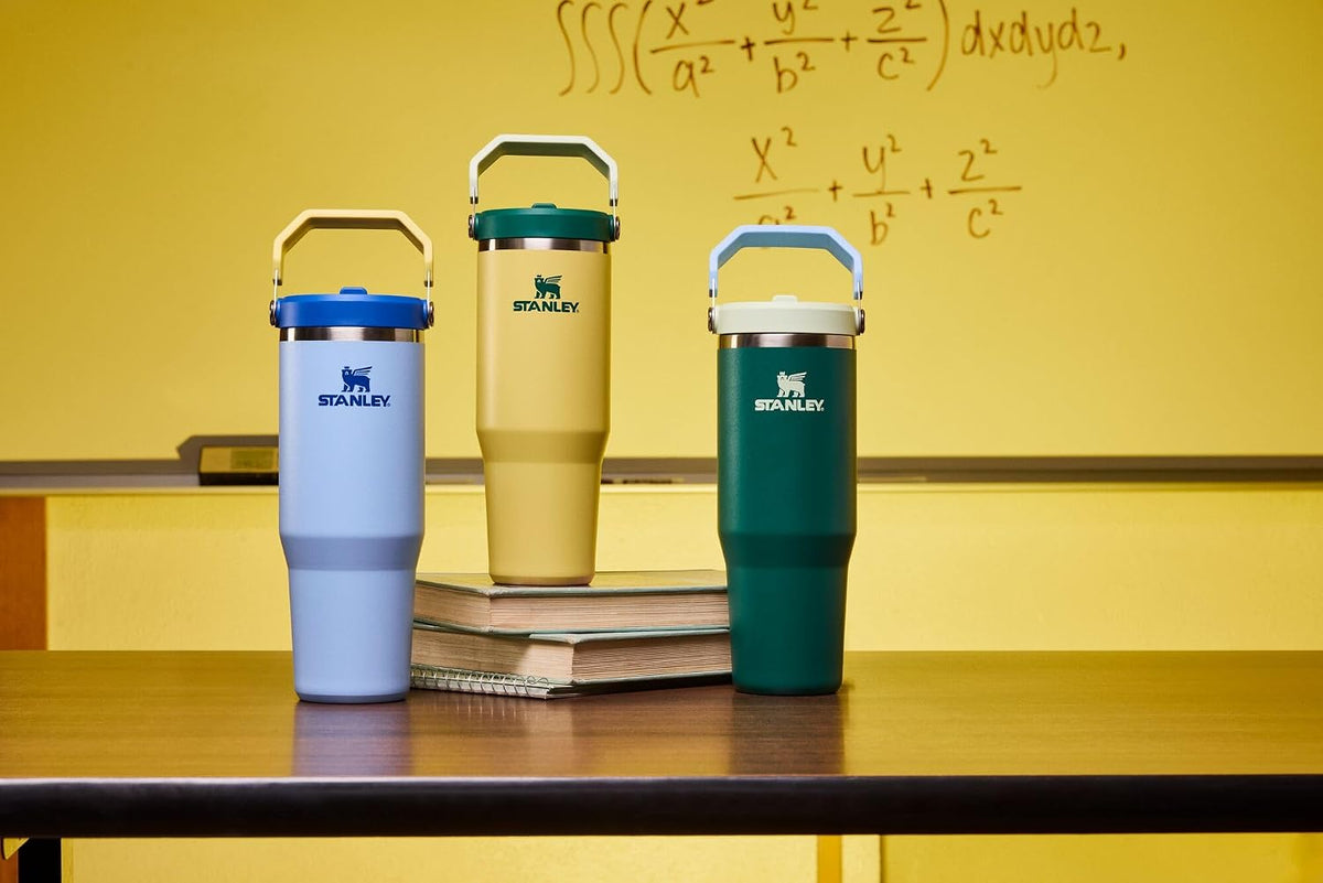 STANLEY IceFlow 2.0 Flip Straw Tumbler, 30 oz, Daffodil Emerald