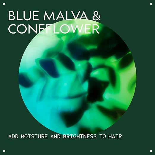 AVEDA Blue Malva Color Conditioner | Purple Conditioner for Silver, Gray, Blonde Hair | Neutralizes Brassiness | Deeply Conditions Hair | 96% Naturally Derived*, 8.5 Fl Oz