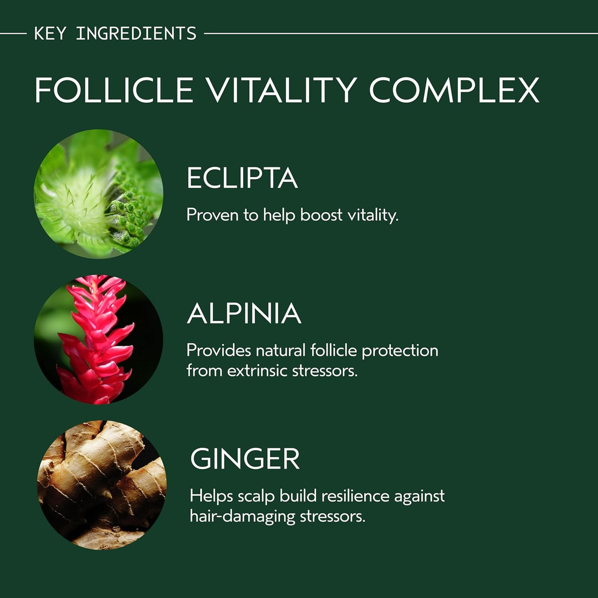 Aveda Invati Ultra Advanced Revitalizing Scalp Serum | Step 3 of 4 | Reduces Hair Loss by 77% | Strengthens Thinning Hair | 98% Naturally Derived*