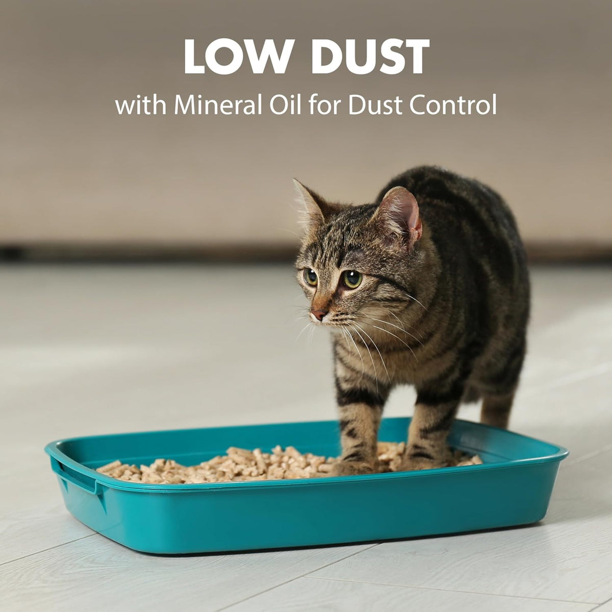 ARM & HAMMER Naturals Clumping Cat, Litter Odor Control, Multi Cat Litter, 18 lb. Bag (Pack of 2)