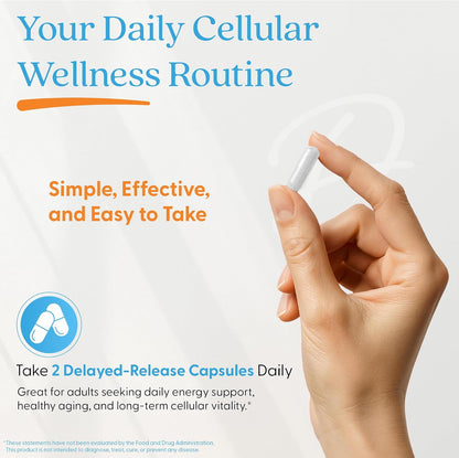 Doctor's Best NMN Supplement, for Women & Men, Vegan, Non GMO, 60 Veg Caps