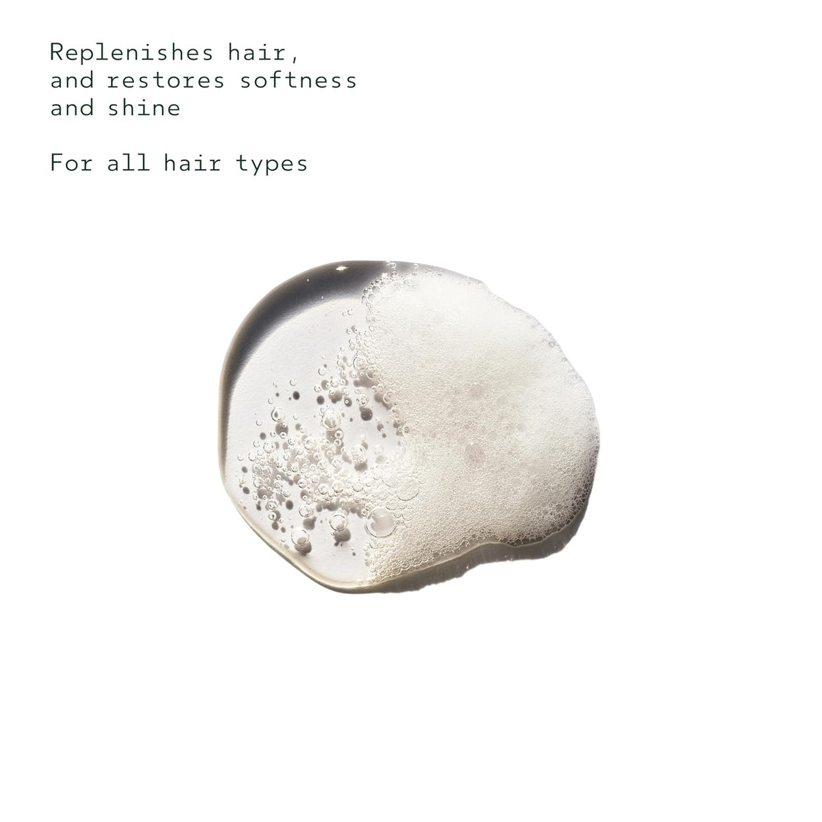 Aveda Brilliant Shine Boosting Shampoo | Adds Shine | Clarifying Shampoo Removes Product Build-Up | All Hair Types | Jasmine, Rose, Clove Aroma | 8.5 Fl Oz