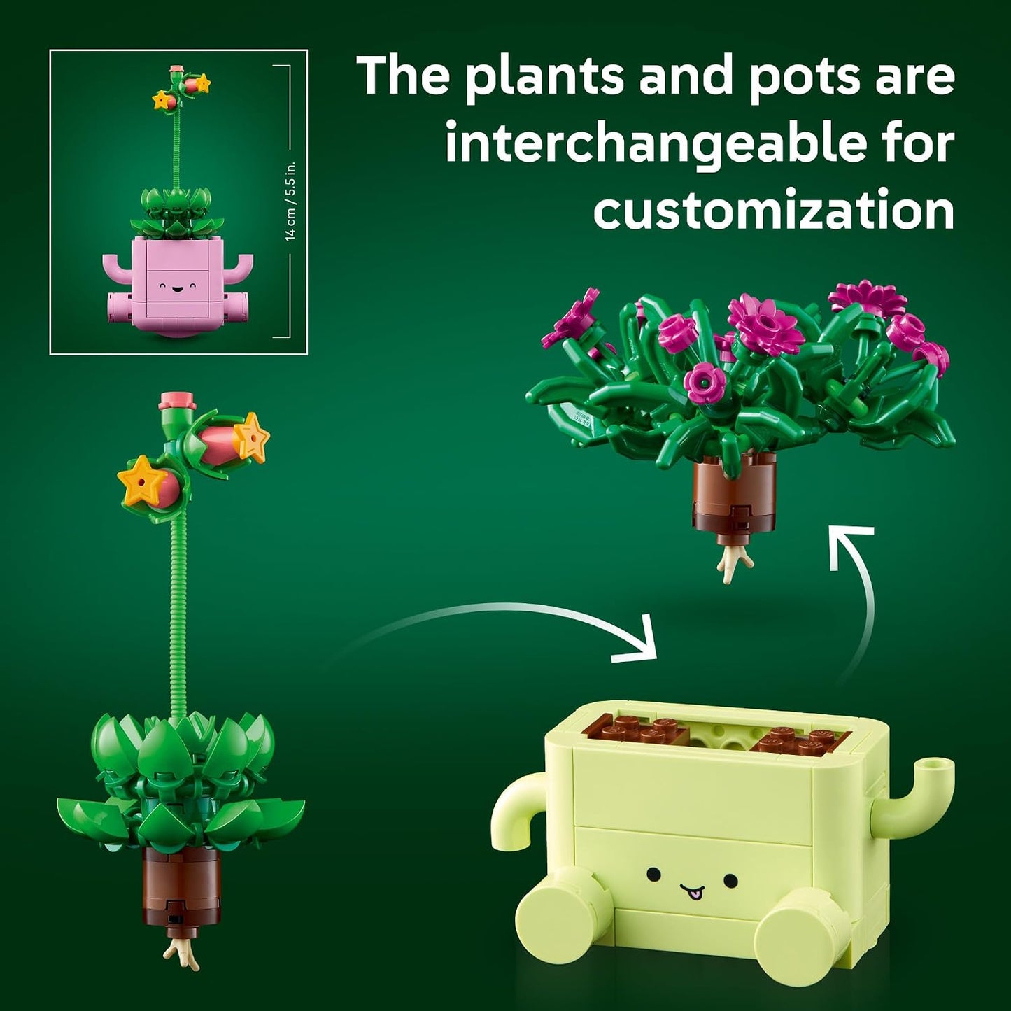LEGO Botanicals Rocking Plants - Building Toy for Kids, Girls & Boys, Ages 9+ - Decor for Dorm Desk or Shelf - Housewarming Gift Ideas - 11506