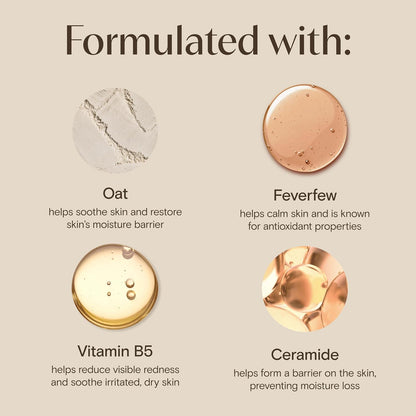 Aveeno Calm + Restore Facial Moisturizer Face Cream for Redness Relief, Non-Comedogenic, Ceramide & Vitamin B5, Hydrating for Dry, Sensitive Skin, Hypoallergenic, Fragrance-Free, 1.7 oz (Pack of 12)