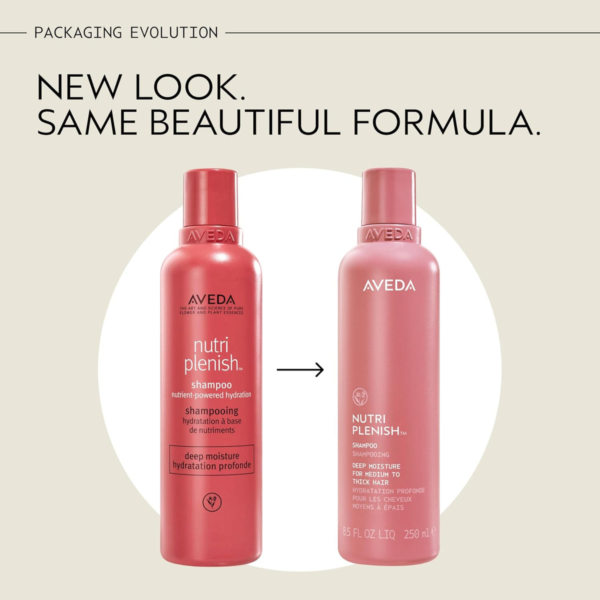 Aveda Nutriplenish Shampoo Deep Moisture | Rich Hydration for Medium to Thick Dry Hair | Organic Pomegranate Oil, Coconut Oil, Mango Butter | 93% Naturally Derived*