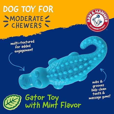 Arm & Hammer Nubbies Gator Dog Dental Chew Toy, Mint Flavor, 2-Pack