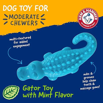 Arm & Hammer Nubbies Gator Dog Dental Chew Toy, Mint Flavor, 2-Pack