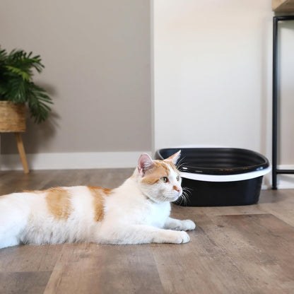 Arm & Hammer Large Sifting Litter Box Scoop Free Cat Litter Tray with Microban