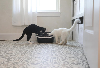 Arm & Hammer Large Sifting Litter Box Scoop Free Cat Litter Tray with Microban