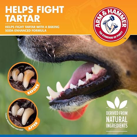 Arm & Hammer, Dog Dental Spray, Tartar Control, Mint, 4 Fl Oz, 2-Pack