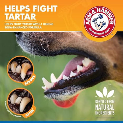 Arm & Hammer, Dog Dental Spray, Tartar Control, Mint, 4 Fl Oz, 2-Pack
