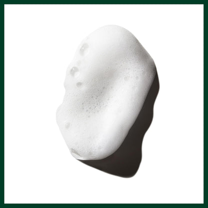 Aveda Phomollient Styling Foam Hair Mousse | Weightless Volumizing Mousse for Fine to Medium Hair
