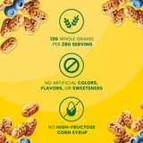 belVita Bite Size Snacks, Blueberry Crunchy Bites, 10 - 1 oz Snack Packs