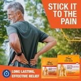 Tiger Balm Pain Relieving Patch, 15 ct.