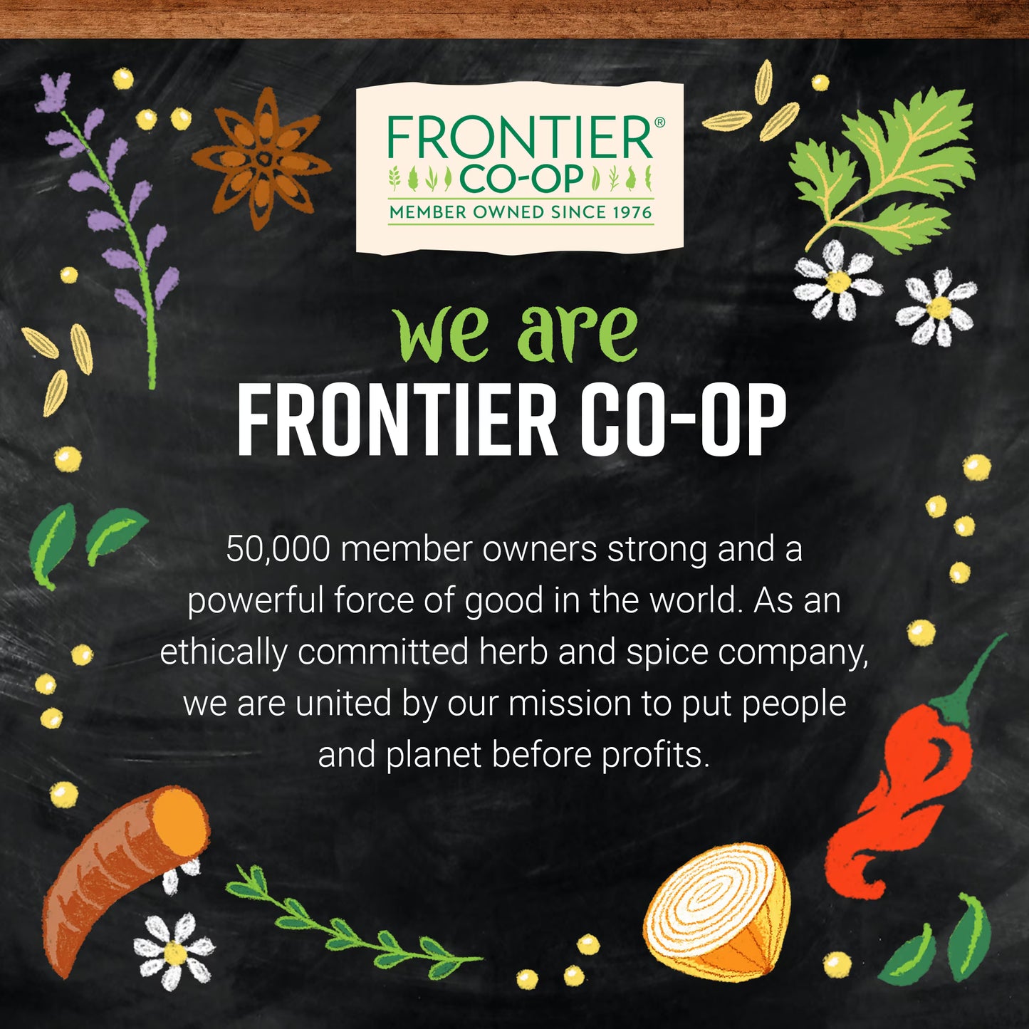Frontier Co-op Organic Vanilla Flavoring 2 fl. oz.