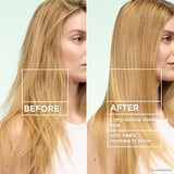 Garnier Fructis Flat Iron Perfector Straightening Mist Hair Sprays Argan Oil All Hair Types 6 fl oz