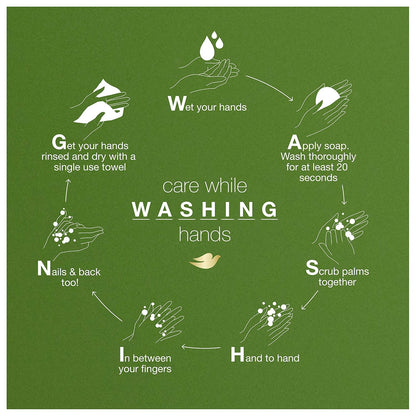 Dove go fresh Refreshing Body Wash Revitalizes and Refreshes Skin Cucumber and Green Tea Effectively Washes Away Bacteria While Nourishing Your Skin 11 oz