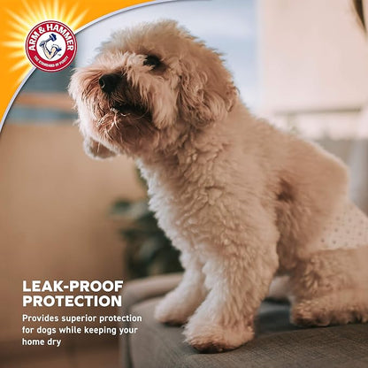 Arm & Hammer Disposable Female Dog Diapers, Large, 12 Count