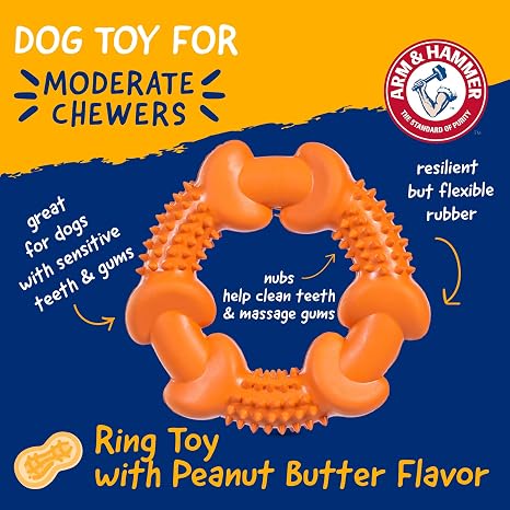 Arm & Hammer Nubbies Rubber Ring Dog Dental Chew Toy, Peanut Butter