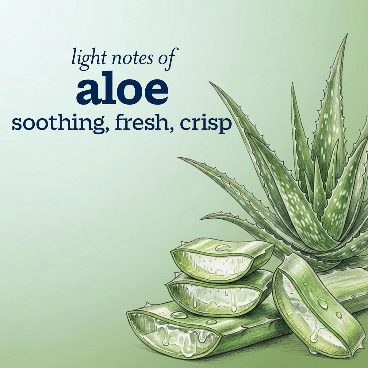 Ivory Body Wash Designed for the Whole Family, Aloe Scent, 35 oz