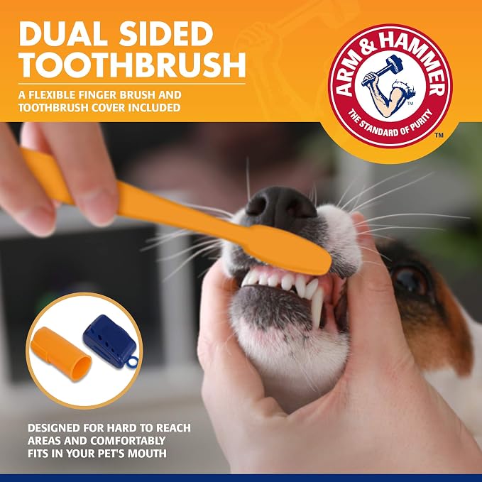 Arm & Hammer - Dog Toothbrush, Toothpaste Kit, Banana Mint, 2.5 oz