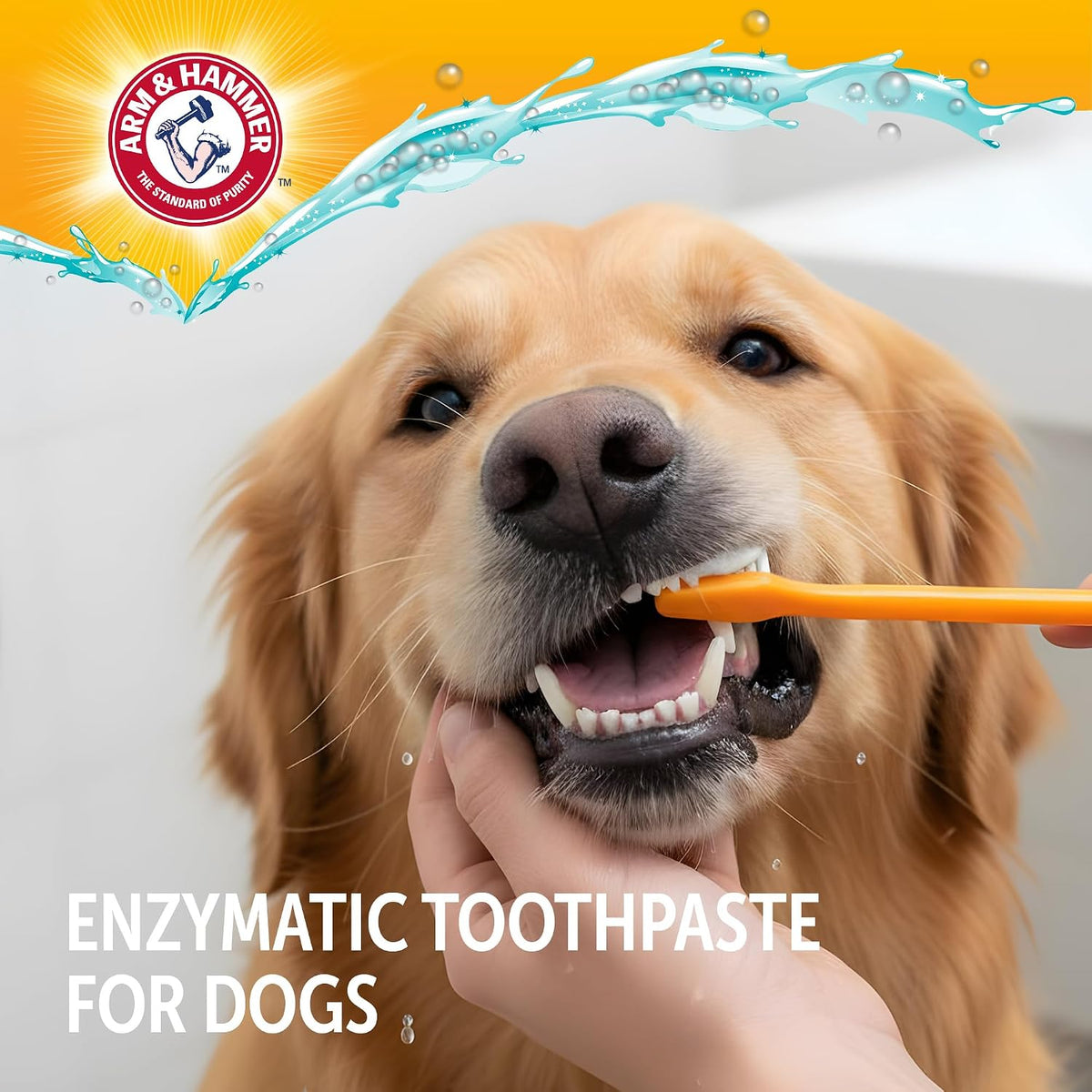 Arm & Hammer Complete Care - Dog Toothpaste, Enzymatic, Chicken, 6.2 oz