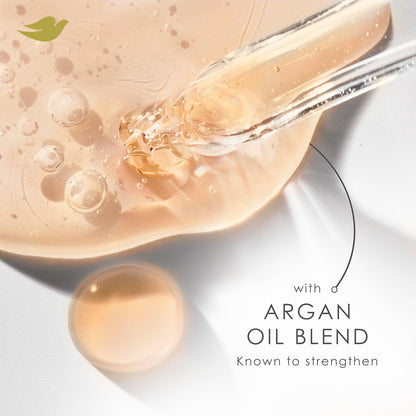 Dove Shampoo Argan Oil & Repair for Fine Hair with Bio-Protein Care Technology and Argan Oil Blend 12 Fl Oz,(Pack of 2)