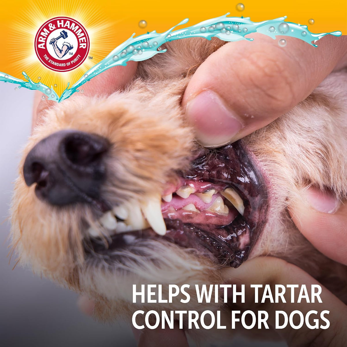 Arm & Hammer Complete Care Dog Dental Water Additive, 35 Fl Oz