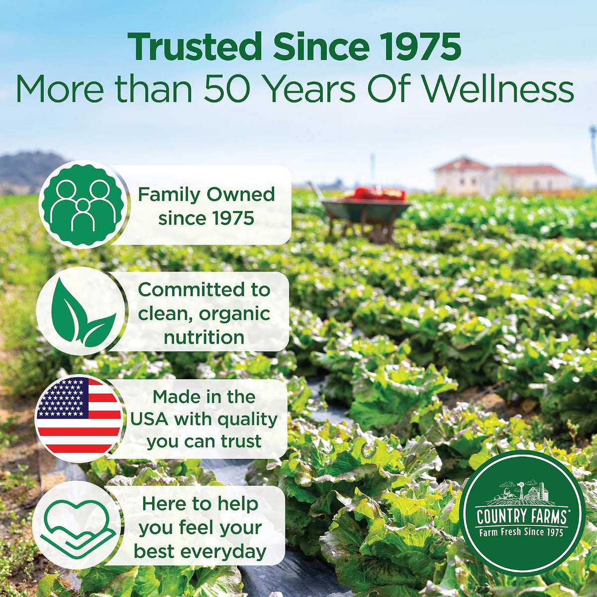 Country Farms Organic Super Greens Powder, Daily Greens Drink Mix with 50 Organic Superfoods, Fruits, Vegetables, Fiber, Mushrooms & Probiotics for Gut Health, Digestion & Energy, Chocolate Flavor