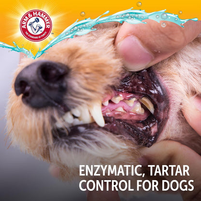 Arm & Hammer Complete Care - Dog Toothpaste, Enzymatic, Chicken, 6.2 oz