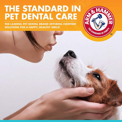 Arm & Hammer, Enzymatic Dog Toothpaste, Vanilla Ginger, 2.5 oz, 72 Pack