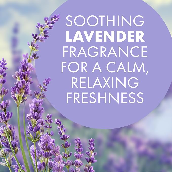 Arm & Hammer OdorBusterz ShapeMATE, Lavender Flower, 4 Count – Decorative Odor Eliminator for Small Spaces