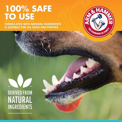 Arm & Hammer, Enzymatic Dog Toothpaste, Chicken Flavor, 2.5 oz, 72 Pack
