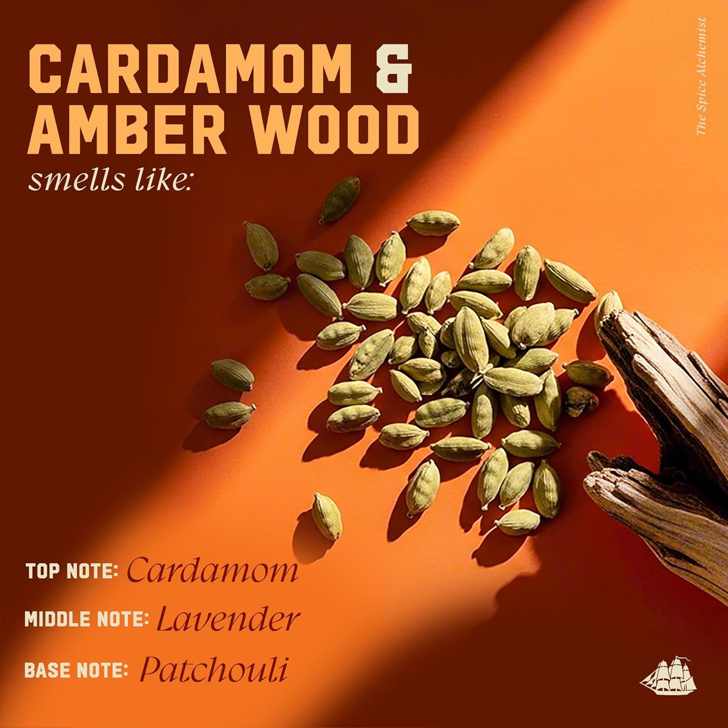 Old Spice Men's Shampoo, The Spice Alchemist Collection, Cologne-Infused Cardamom and Amber Wood Scent, Free of Parabens & Phthalates, 20 fl oz