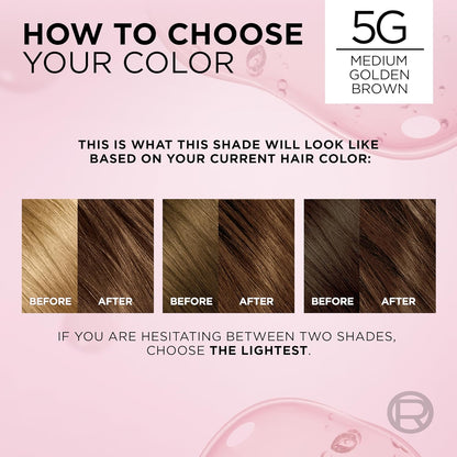 L'Oreal Paris Excellence Crème Permanent Hair Dye, Triple Care Hair Color with Hyaluronic Acid for 100% Gray Coverage, 5G Medium Golden Brown, 1 Kit (Packaging May Vary)