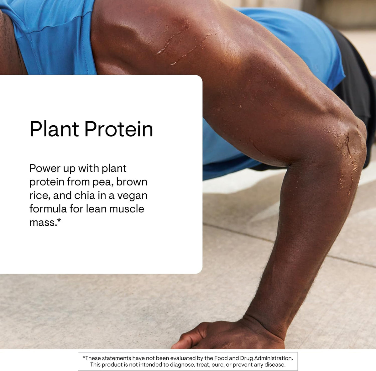 THORNE Plant Protein, 22 g Pea, Rice & Chia Protein Powder, 20 Servings