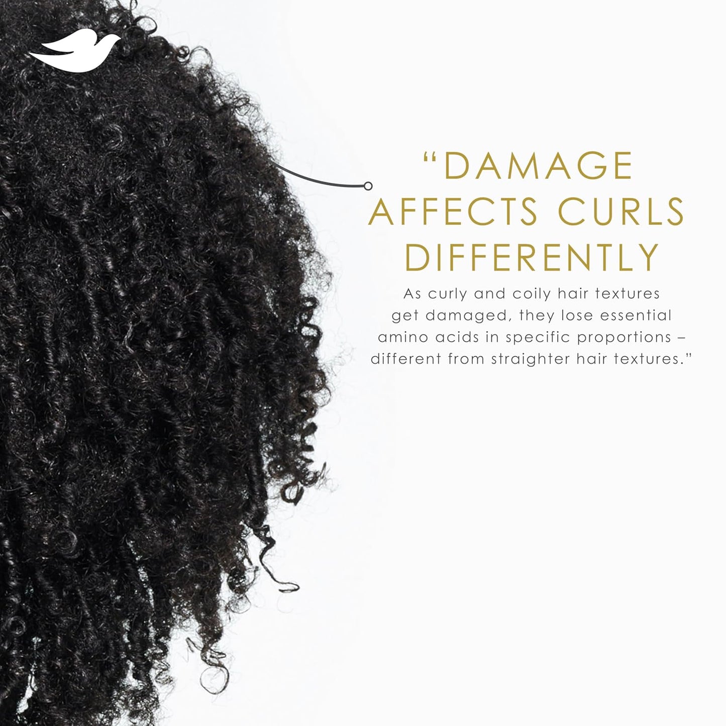 Dove Curl Cream Amino Curl for Curly, Coily Hair with Bio-Protein Care Technology + Amino Complex 8 Fl Oz
