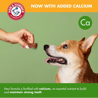 Arm & Hammer, Dog Dental Chews, Nubbies, Chicken Flavor, 139 Ct, 6-Pack