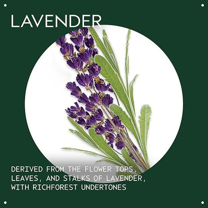 Aveda Lavender Essential Oil + Base | Calming Aroma | For Body & Bath, 1 Fl Oz