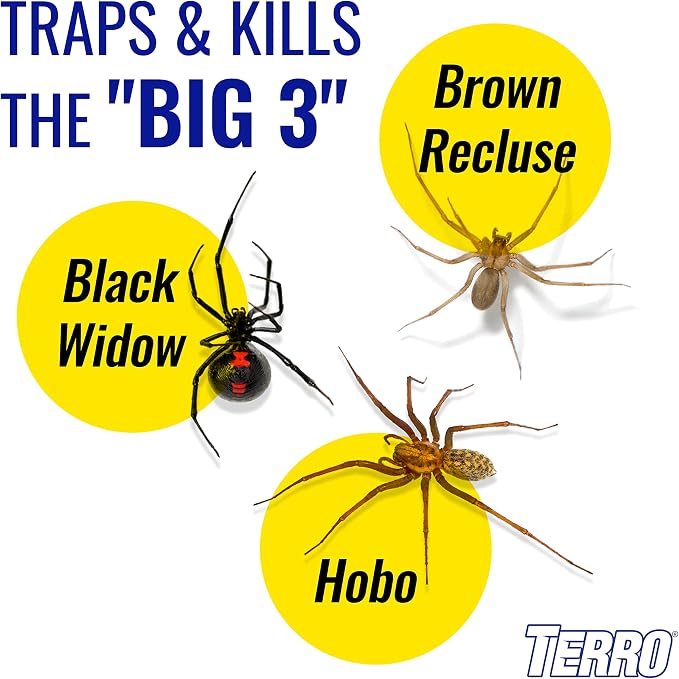 TERRO Spider & Insect Trap T3206 Sticky Glue Traps for Roaches, Spiders, Ants, Cockroaches, Crickets - Indoor Bug Catcher Pest Control Traps, 4.25 in in (Pack of 120)