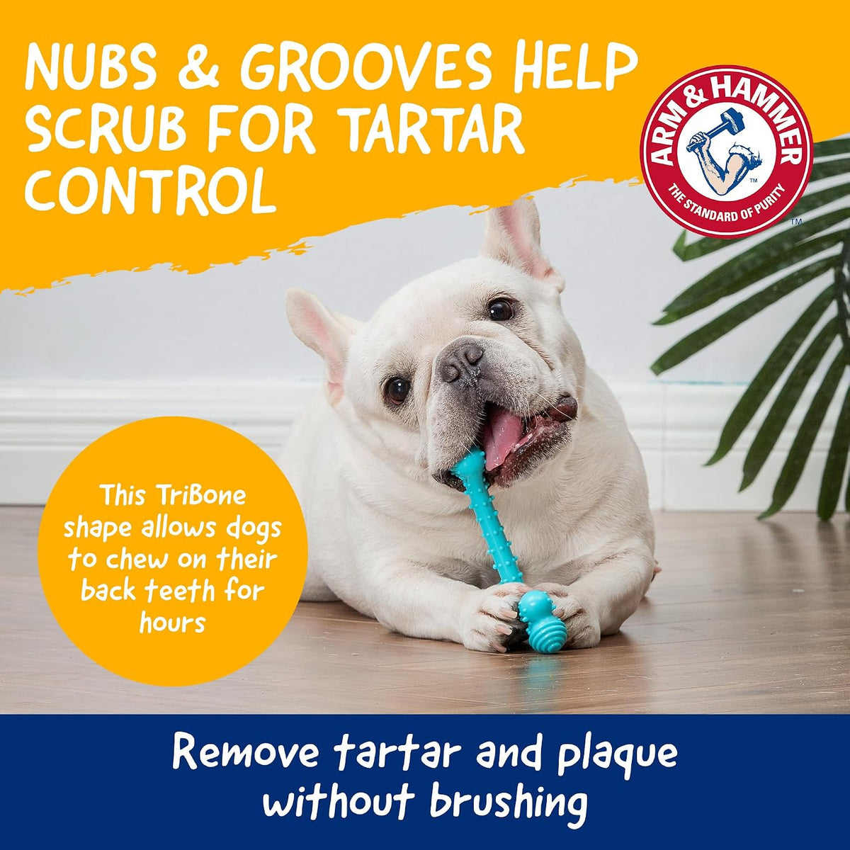 Arm & Hammer Nubbies, Dog Chew Toy - TriBone, Peanut Butter, 2 Pack
