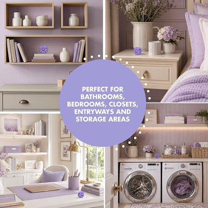 Arm & Hammer OdorBusterz ShapeMATE, Lavender Flower, 4 Count – Decorative Odor Eliminator for Small Spaces