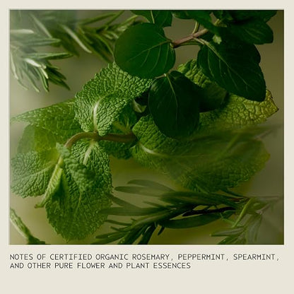 Aveda Rosemary Mint Body Lotion | Lightweight Cooling Lotion With Menthol | With Invigorating Aroma Of Certified Organic Peppermint & Rosemary