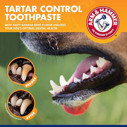 Arm & Hammer - Dog Toothbrush, Toothpaste Kit, Banana Mint, 2.5 oz