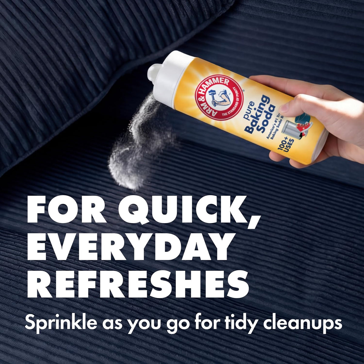 Arm & Hammer Pure Baking Soda Shaker - 12 Oz - (Pack of 6)