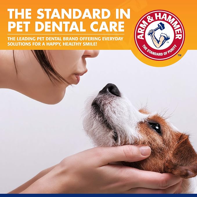 Arm & Hammer - Dog Toothbrush, Toothpaste Kit, Banana Mint, 2.5 oz