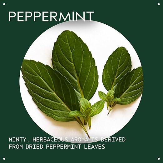 Aveda Peppermint Essential Oil + Base | Refreshing Aroma | for Body & Bath, 1 Fl Oz